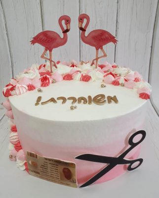 עוגות קצפת - עוגות צהל, גיוס, שחרור קבלת דרגה