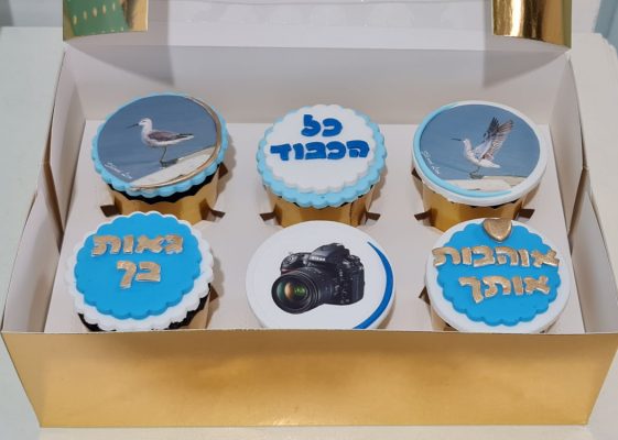 קאפקייקס מעוצבים